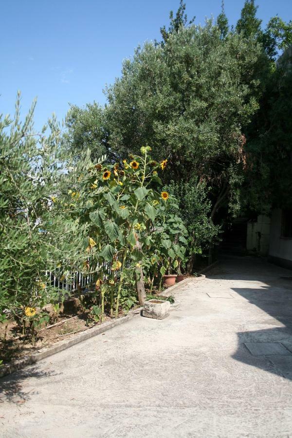 Sunflower Split Dış mekan fotoğraf